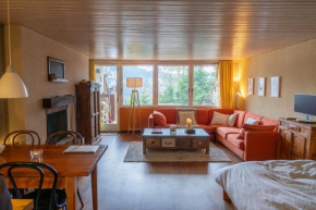 Cosy studio on the ski slopes